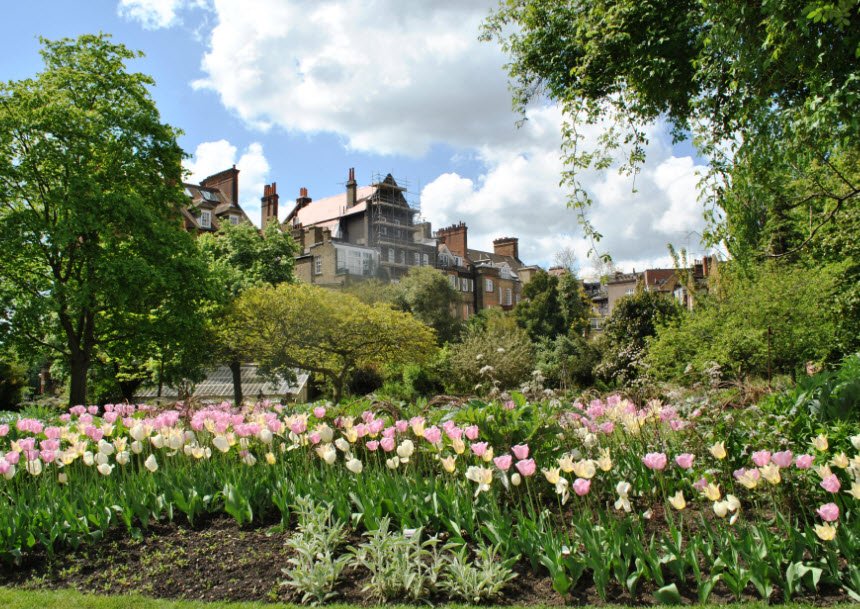 Chelsea Physic Garden, United Kingdom